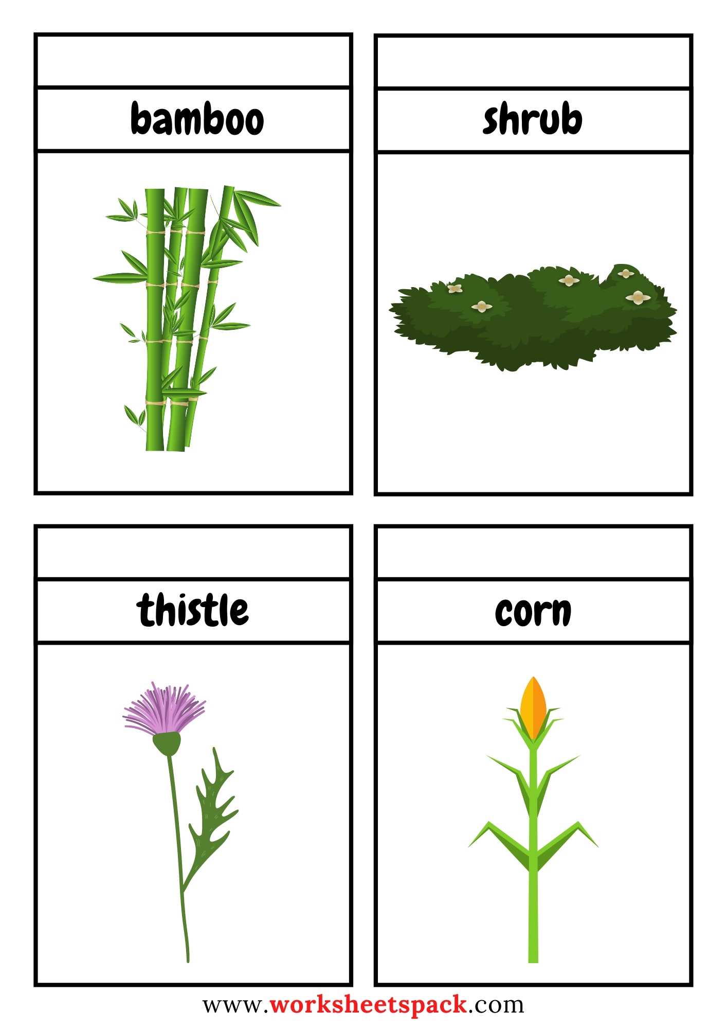 Free Plants Flashcards PDF Worksheetspack