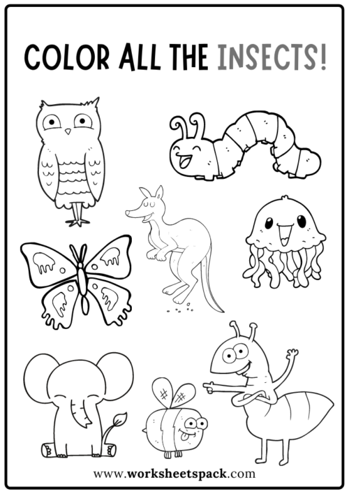 Insects Coloring Activities