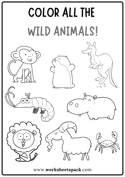 Wild Animals Coloring Activities