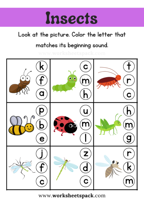Insect Beginning Letter