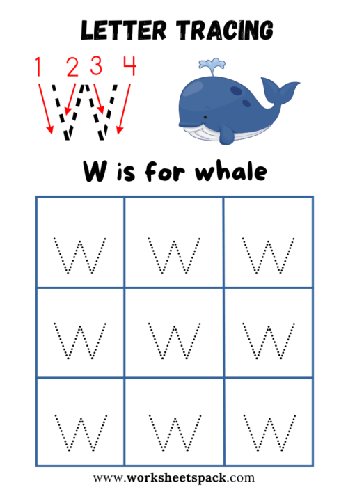 Alphabet tracing lowercase letter w