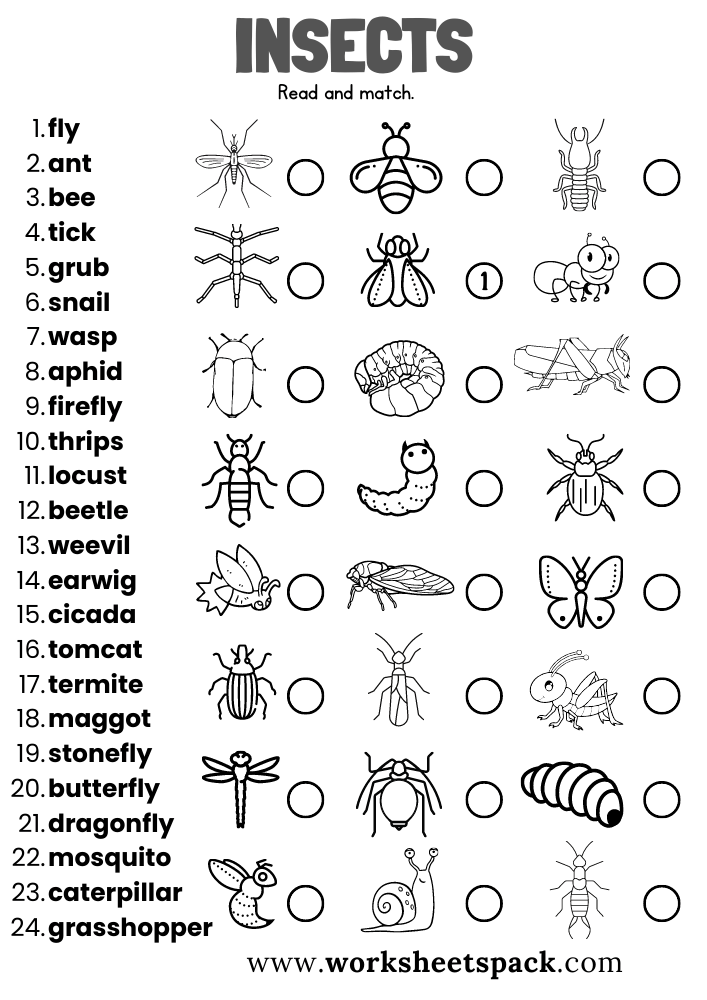 Insect Worksheet For Kindergarten Bug Worksheets All Kids Network Insect Worksheet For Kindergarten Bug Worksheets All Kids Network