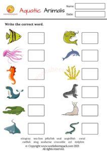 Aquatic Animals Worksheets PDF - worksheetspack