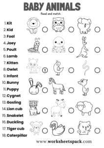 Baby Animals Worksheets PDF - worksheetspack