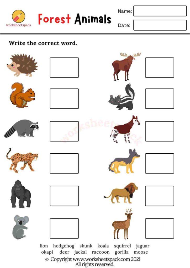 forest-animals-worksheets-pdf-worksheetspack