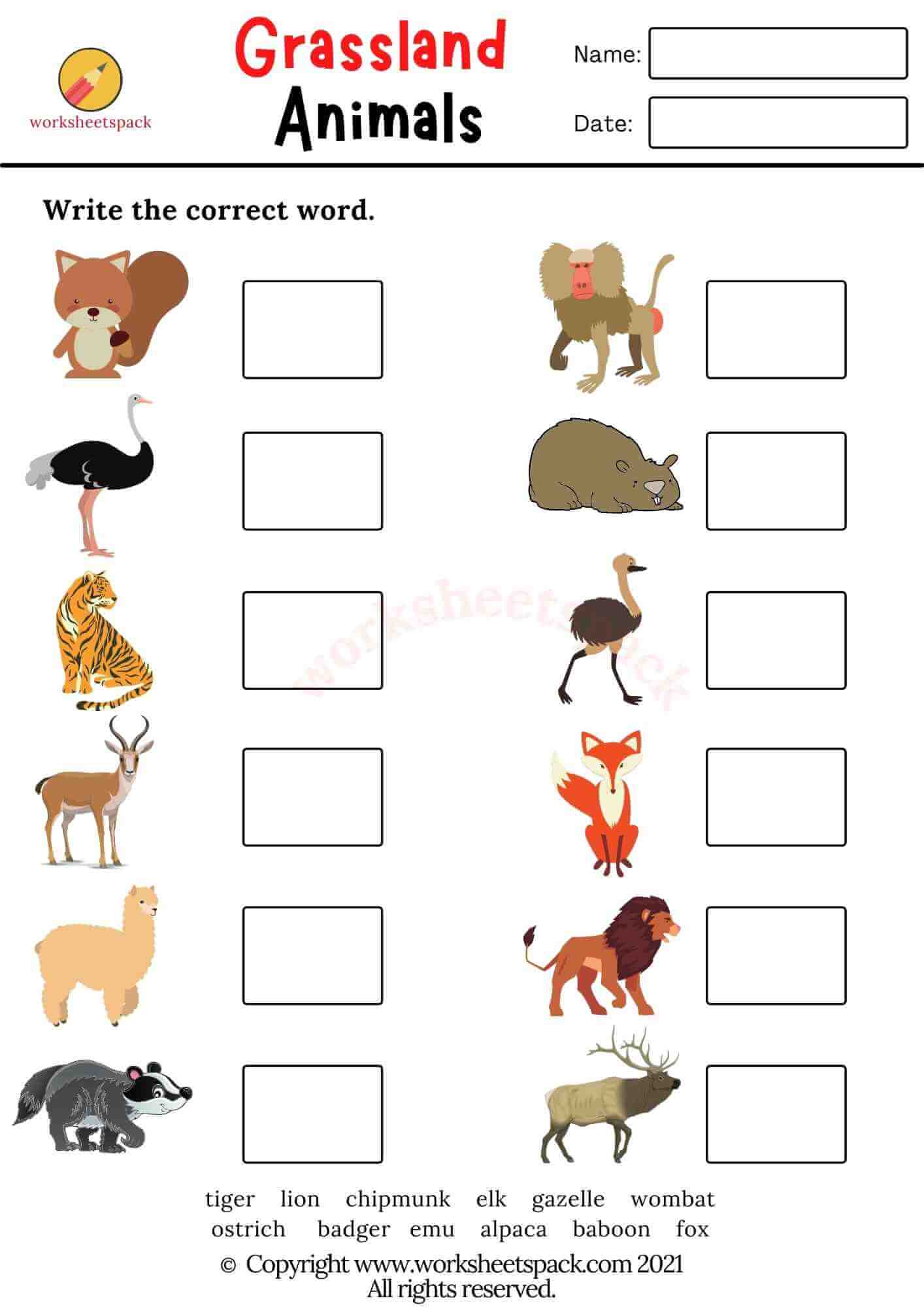 Grassland Animals Worksheets PDF - worksheetspack