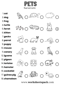 Free Pets Worksheets - worksheetspack