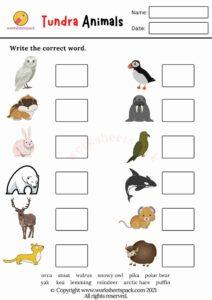 Tundra Animals Worksheets - worksheetspack