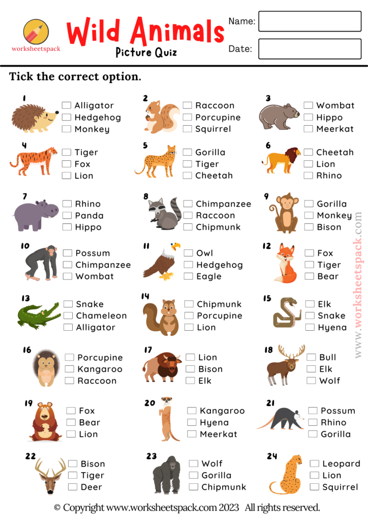 Animal Quiz, Free Printable Animal Picture Test