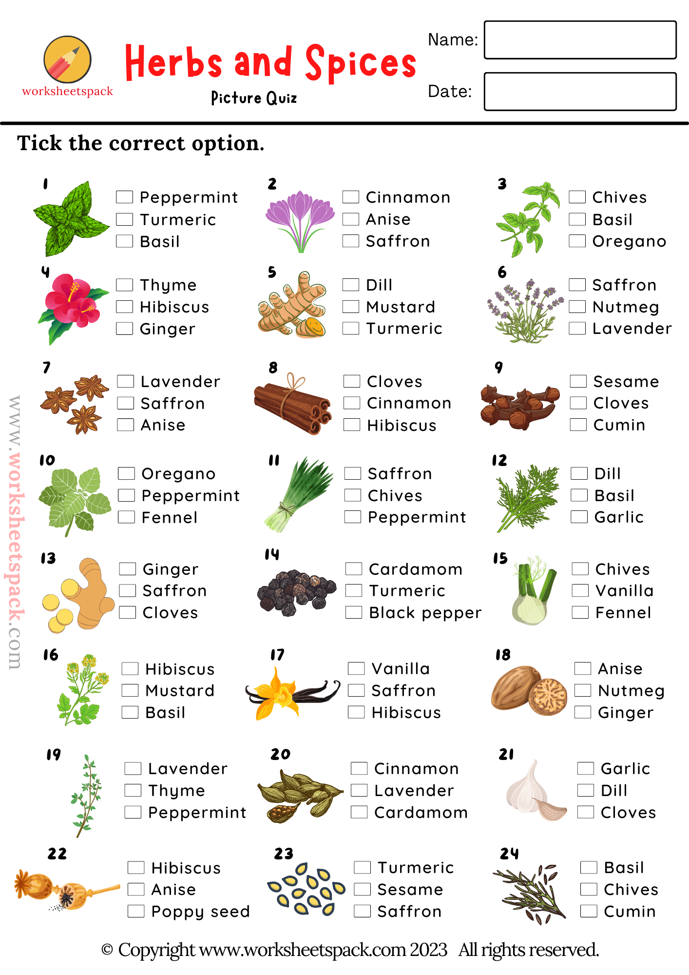 Herbs and Spices Picture Test