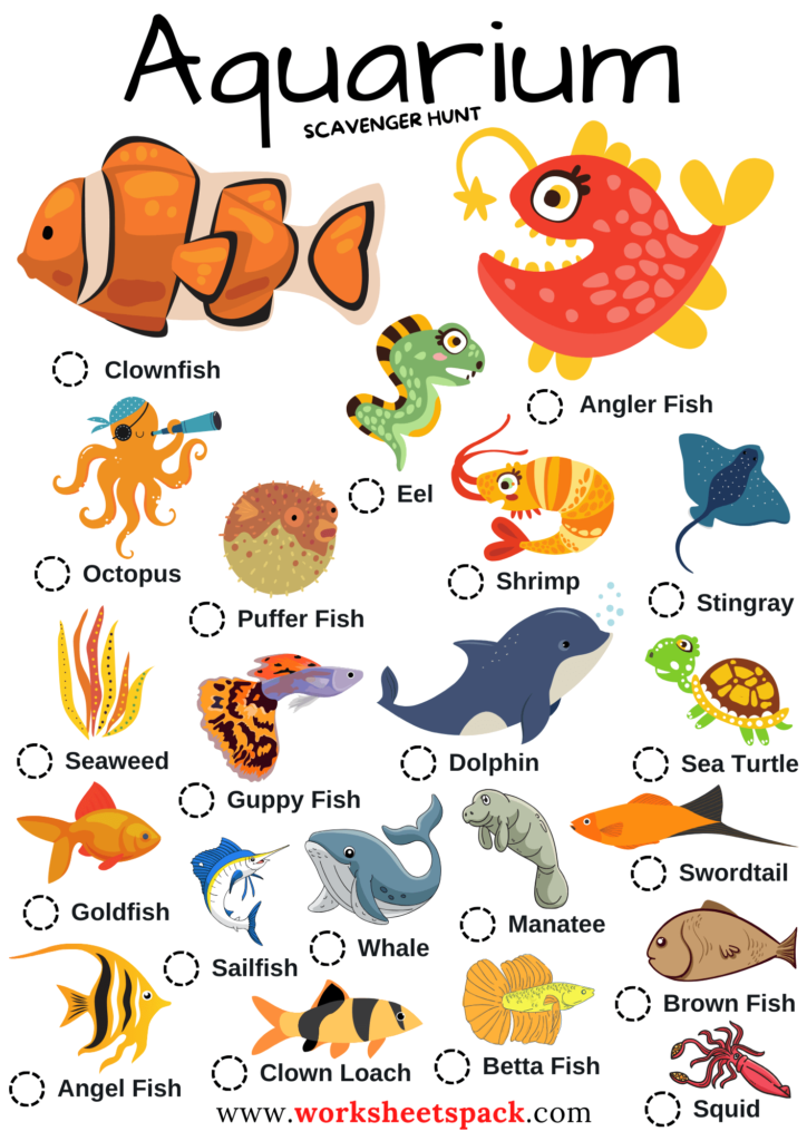 Aquarium Scavenger Hunt List